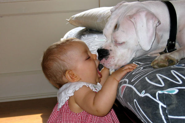 neonata e cane