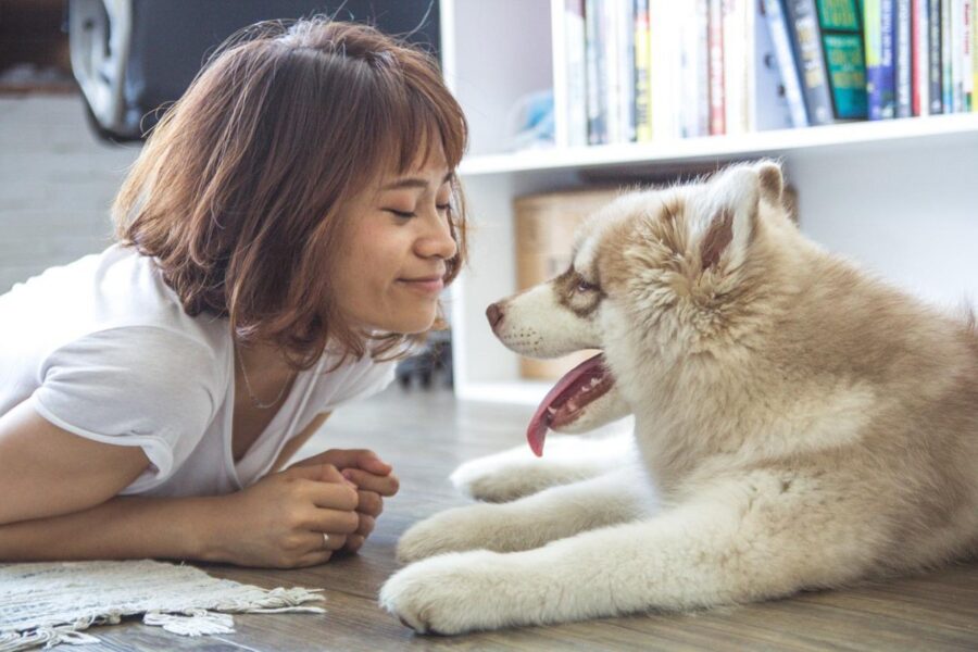 ragazza con cucciolo di husky