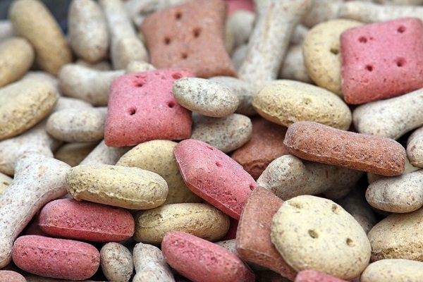 biscotti per cani colorati