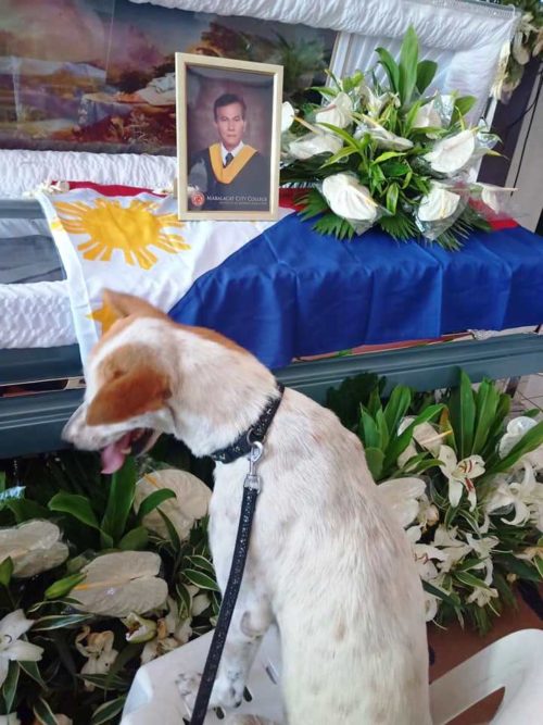 cane-funerale-amico