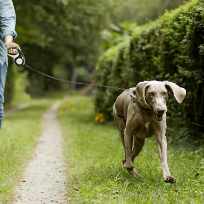 cane-guinzaglio-retrattibile