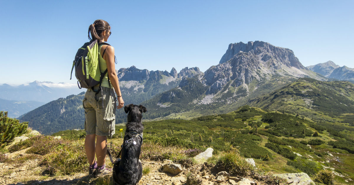 Portare il cane in montagna: cosa sapere
