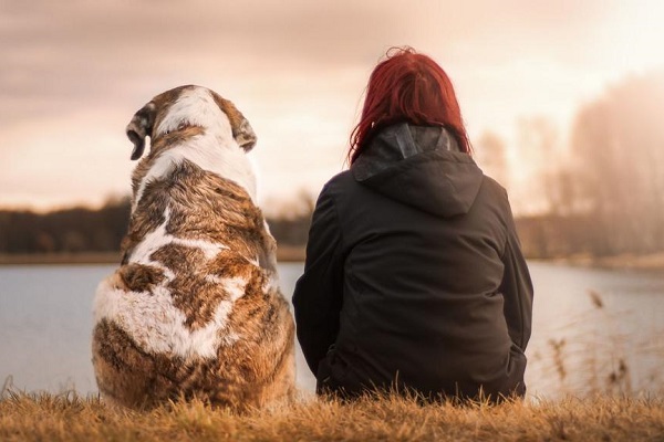 cane e ragazza guardano il panorama