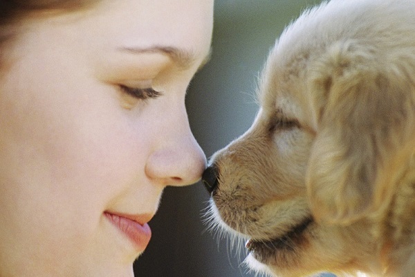 cucciolo di cane e donna