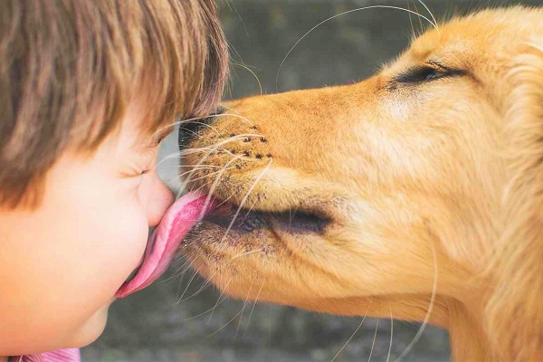 cane che lecca bambino