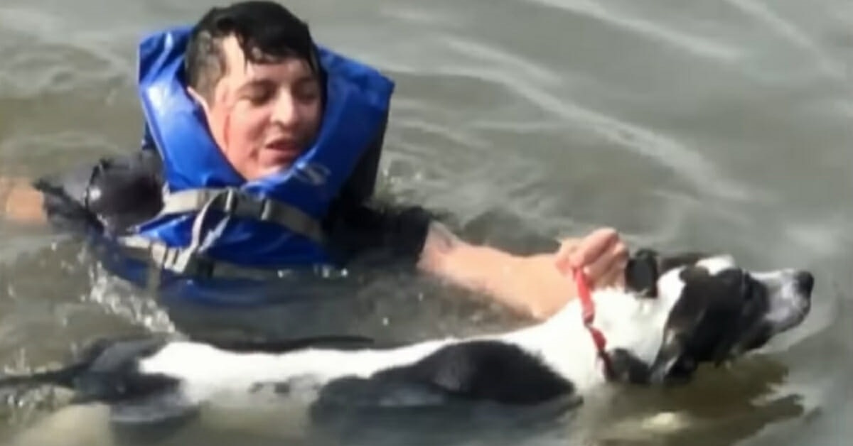 Cane rischia di affogare nel fiume ma viene salvato da un uomo