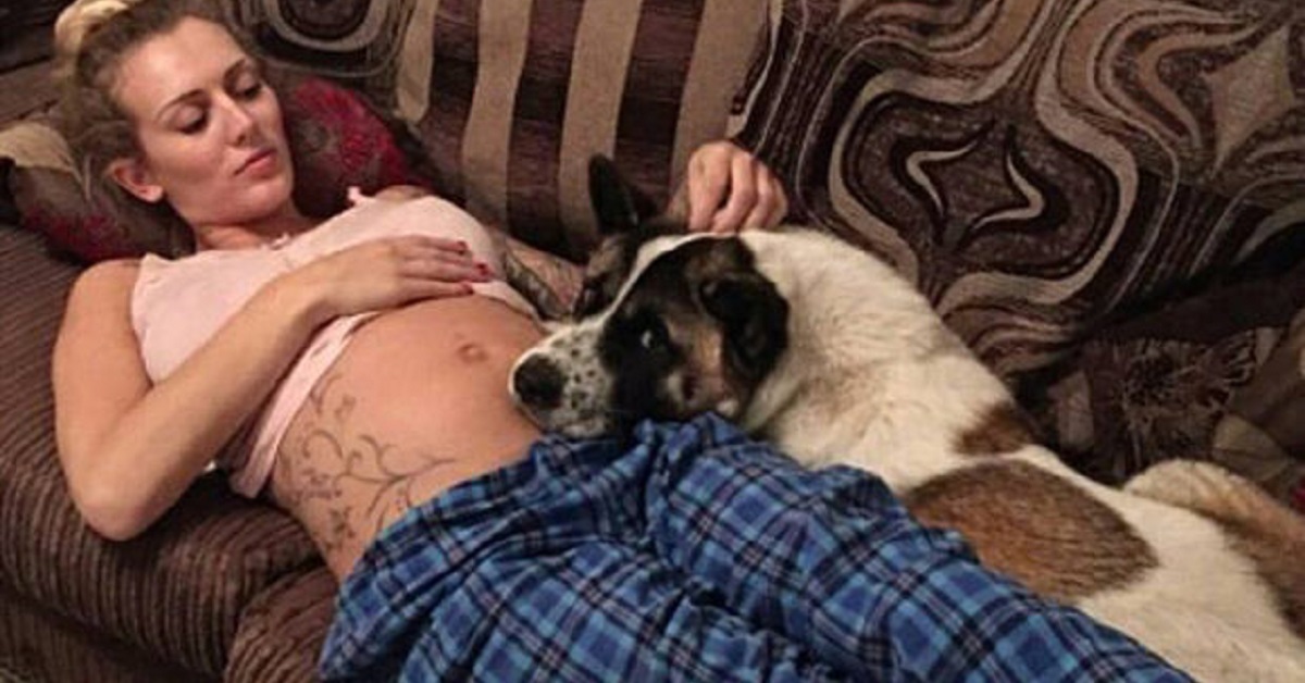 Cane salva la vita ad una donna incinta