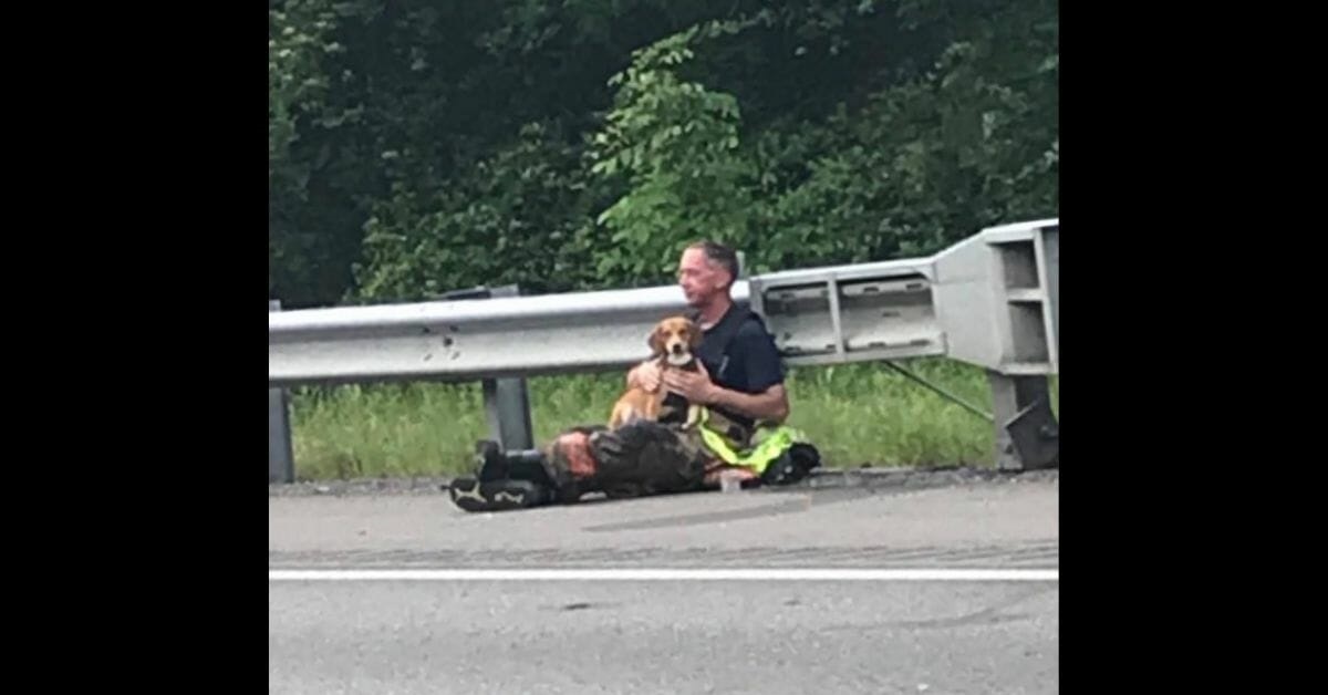 Cane rimane vicino al proprietario ferito