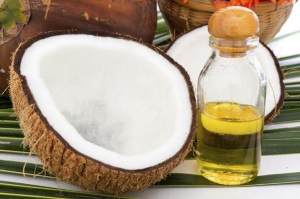 cocco e olio per cani