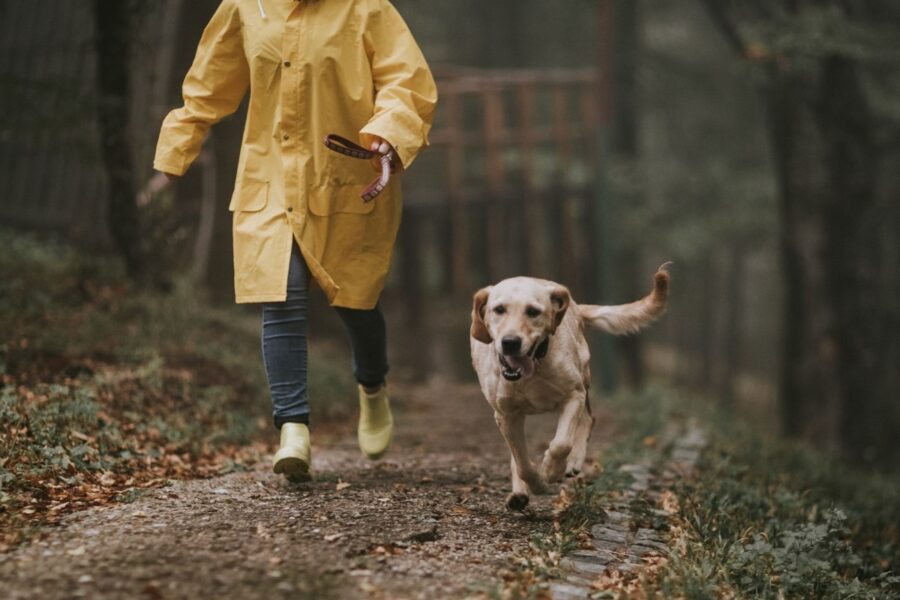 cna epuò passeggiare quando piove