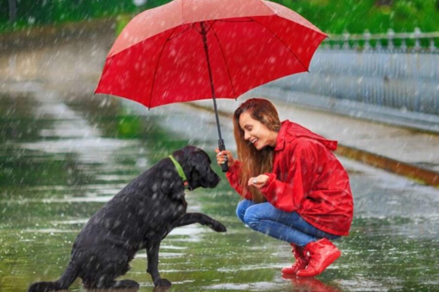 ragazza con cane e ombrello