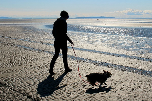 cane e padrone sulla spiaggia