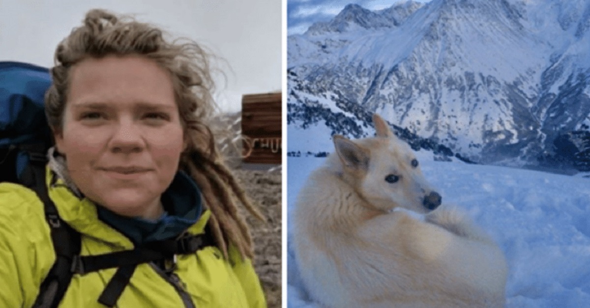 Escursionista cade in montagna e viene salvata da un cane lupo bianco