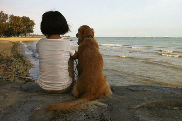 cane e bambina