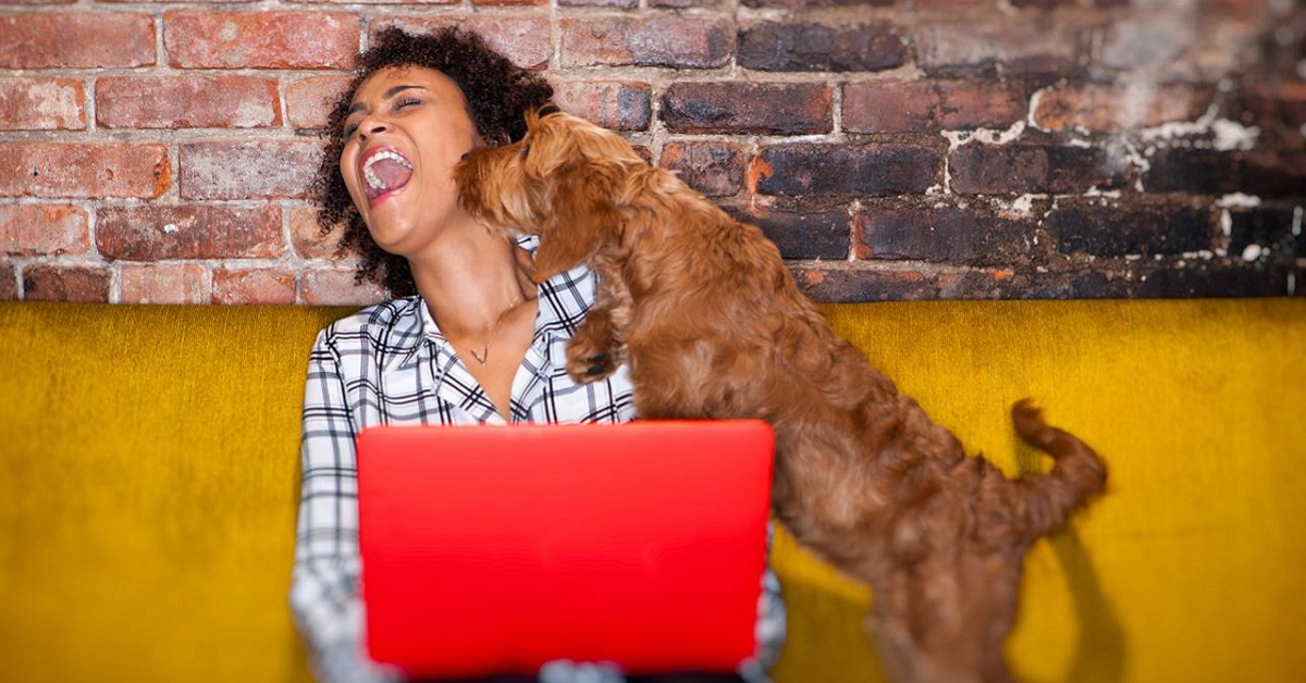 Gesti affettuosi del cane: quali sono?