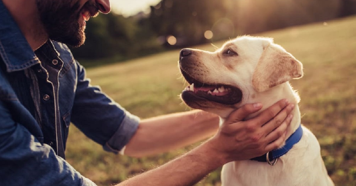 I cani riconoscono il loro nome?