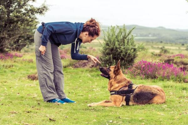 dare comandi al cane