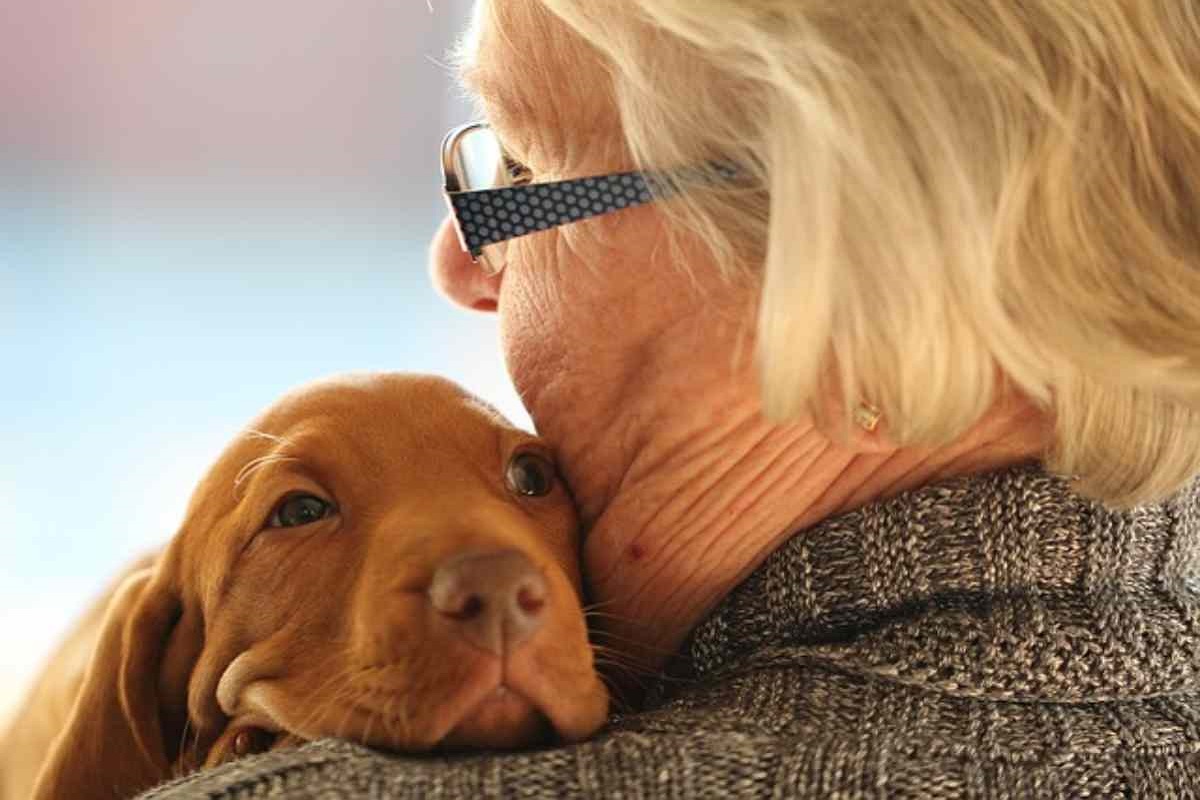 cucciolo di cane in braccio