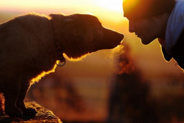 cane e padrone si guardano