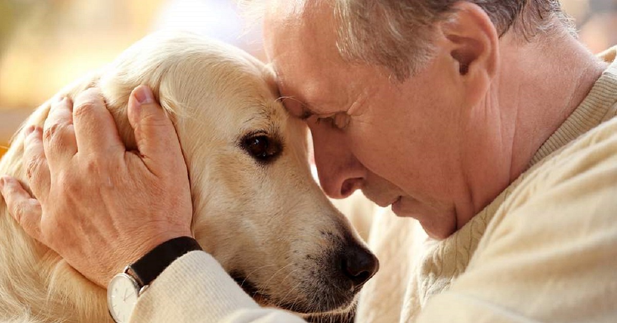 I cani riconoscono il padrone?