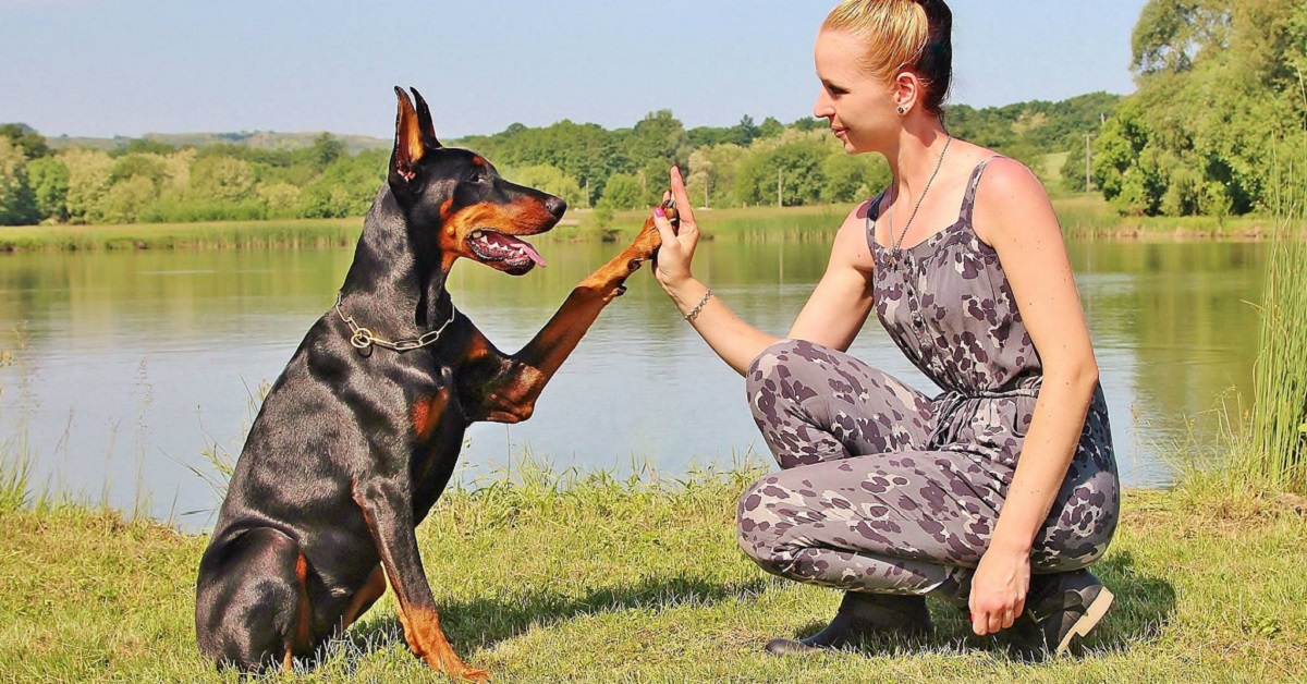 Linguaggio del cane: come comunica con noi?