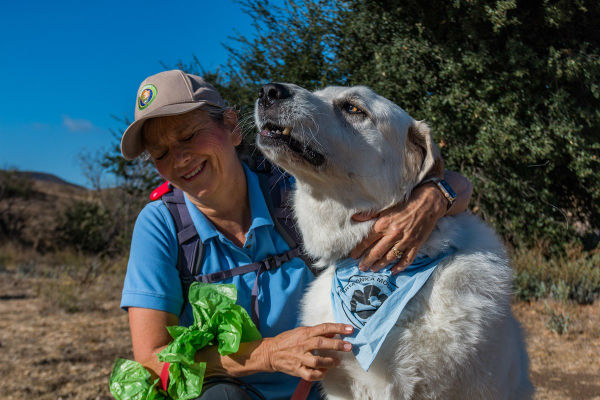 cane e padrone