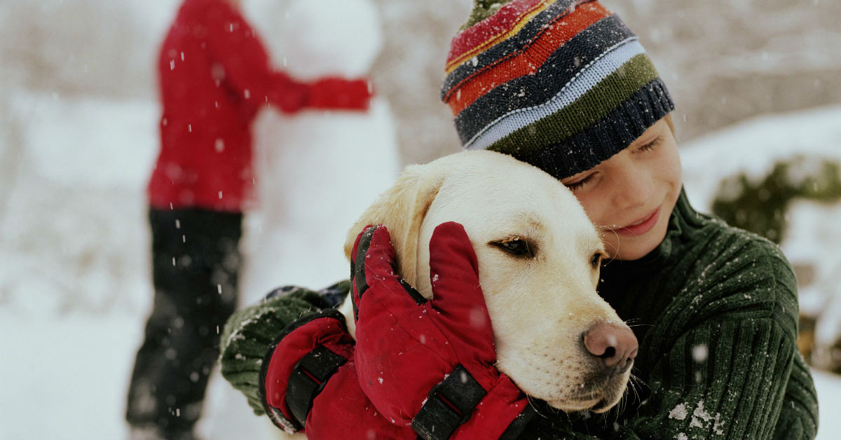 Pelle e pelo del cane in inverno: come curarli