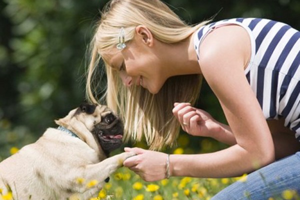 cane carlino con ragazza