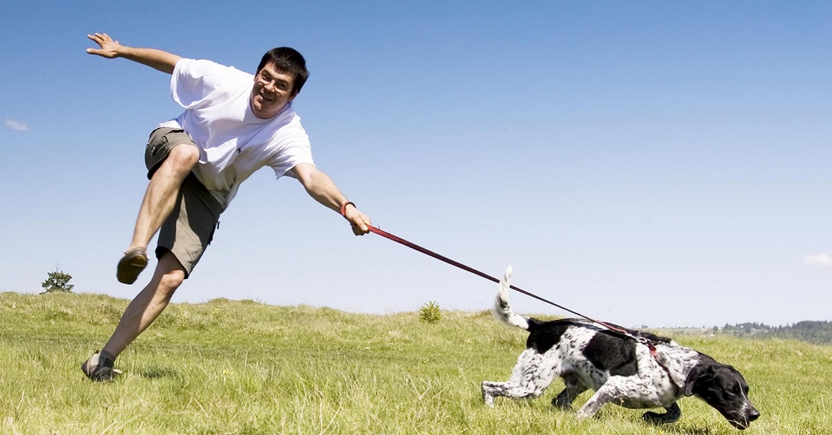 Perché il cane tira al guinzaglio? Tutti i motivi e come ovviare