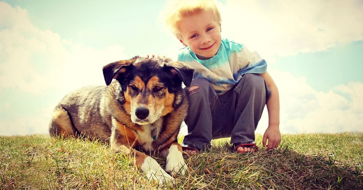 Il “rispetto per i cani” è la nuova materia che verrà insegnata nelle scuole