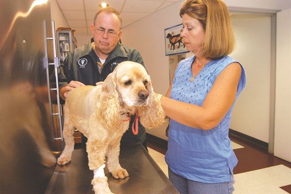 cane dal veterinario