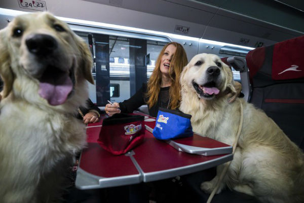 cani in treno