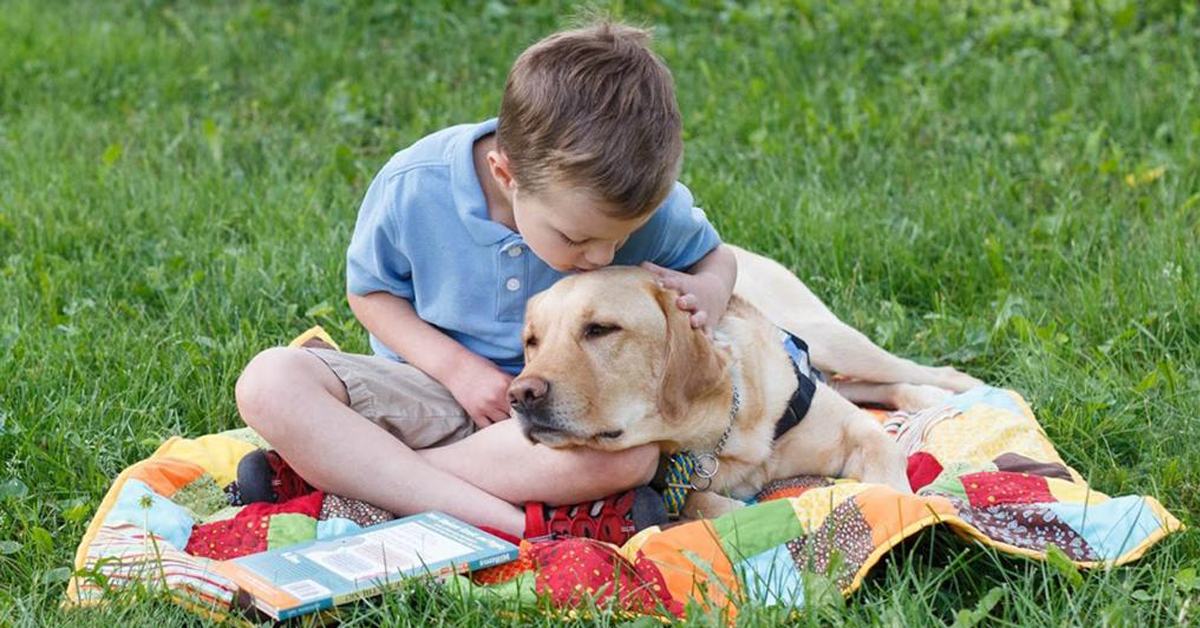 Elmer, il cane che ha aiutato un bambino a tornare a vivere