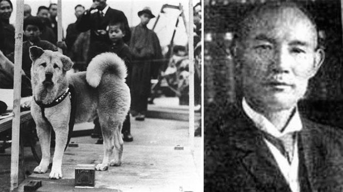 Cane Hachiko