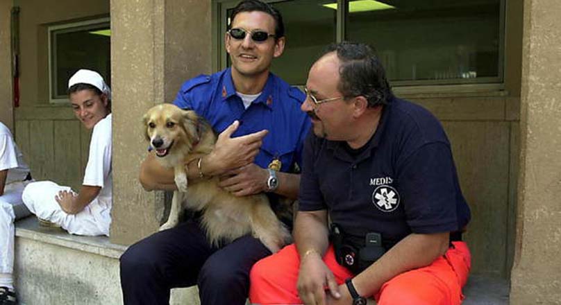 Cane Volpino in braccio ad un uomo