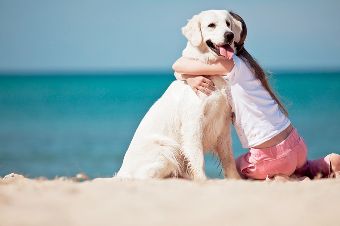 Cane abbracciato da una bambina in spiaggia