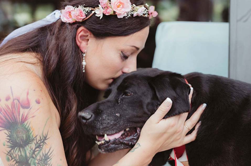 Cane baciato da una sposa