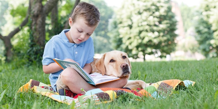 ane che fa compagnia ad un bambino