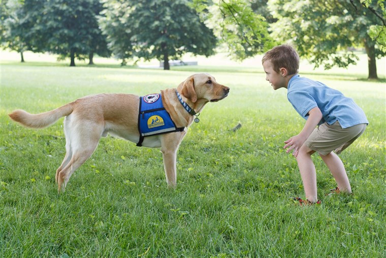 Cane che gioca con un bambino