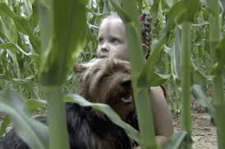 Cane con una bambina in un campo