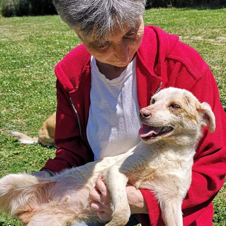 Cane denutrito con una donna