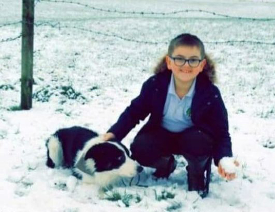 Cane insieme ad un bambino