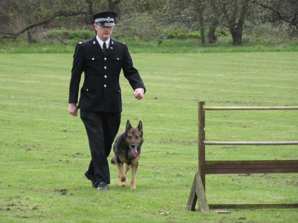 Cane insieme ad un poliziotto