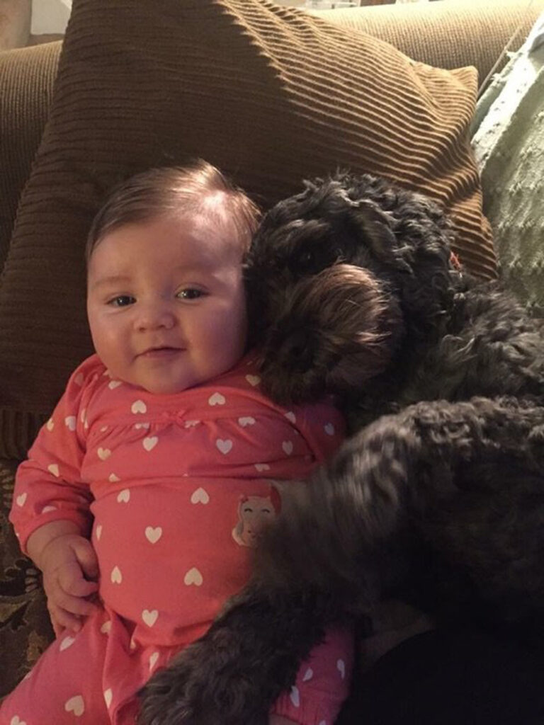 Cane insieme ad una bambina