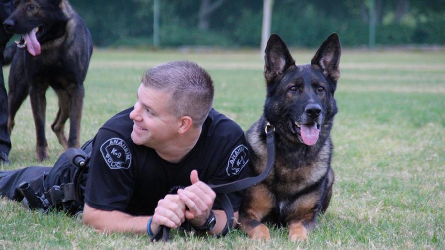 Cane poliziotto sdraiato