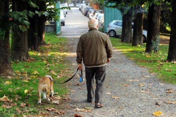 cane al parco