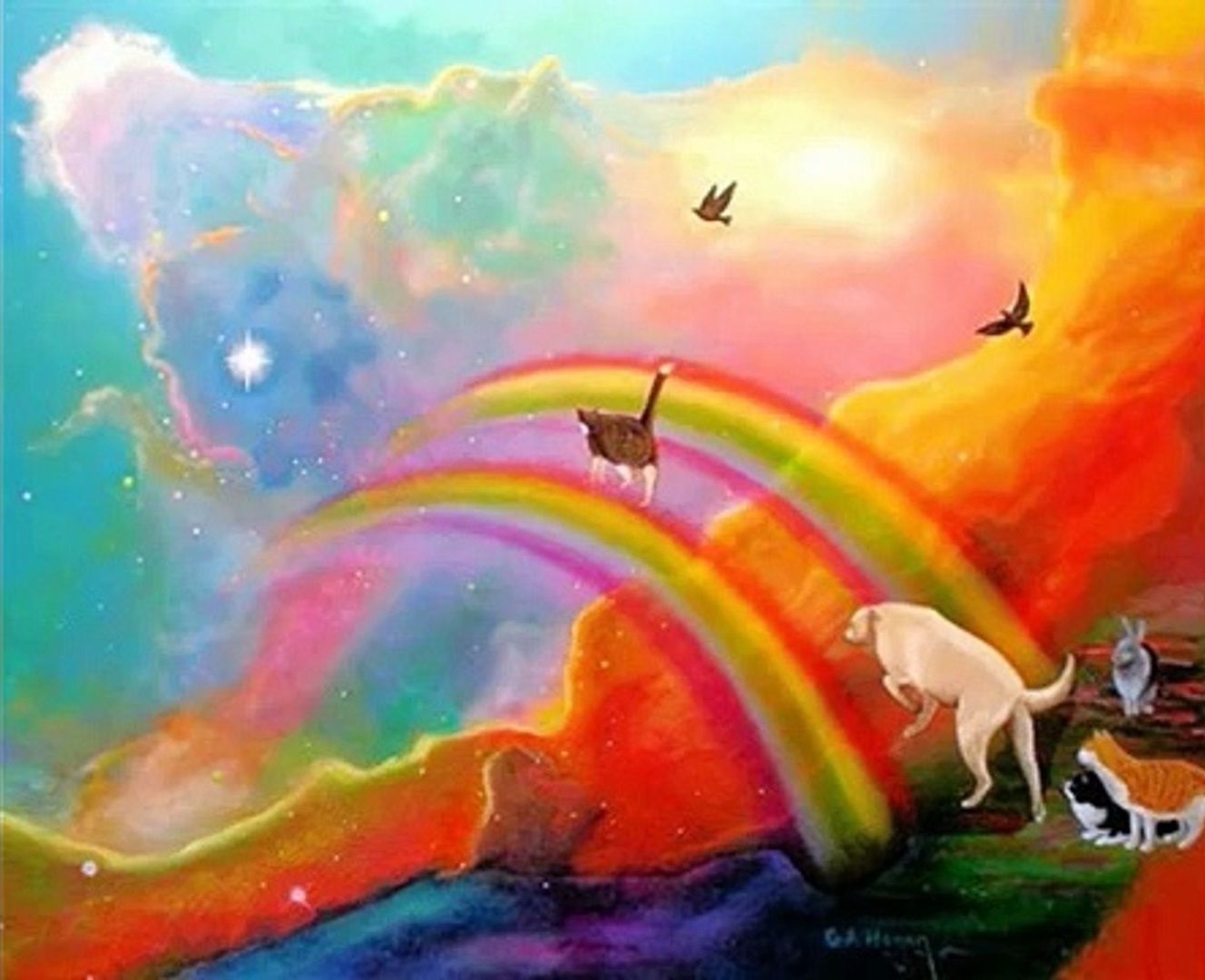 animali-ponte-dellarcobaleno