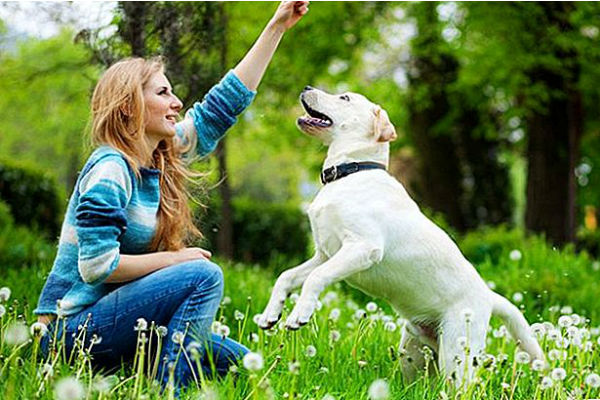 cane e donna