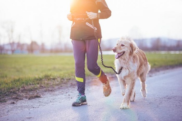 corsa con il cane