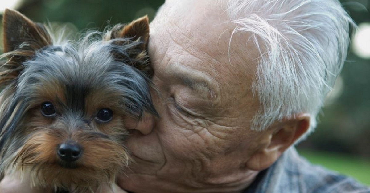 Come aiutare un cane con l’alzheimer?